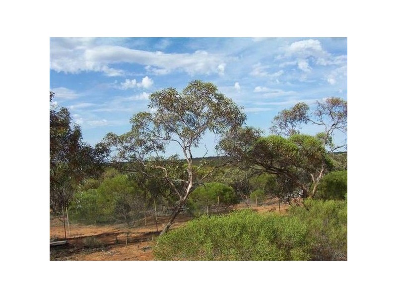 Lot 2 Caddy Road, Loveday SA 5345