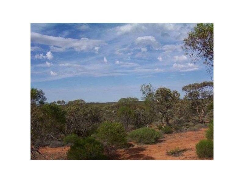 Lot 2 Caddy Road, Loveday SA 5345