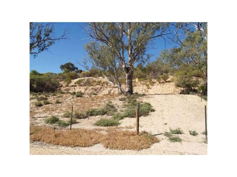 50 and 51 Idyll Acres, Morgan SA 5320