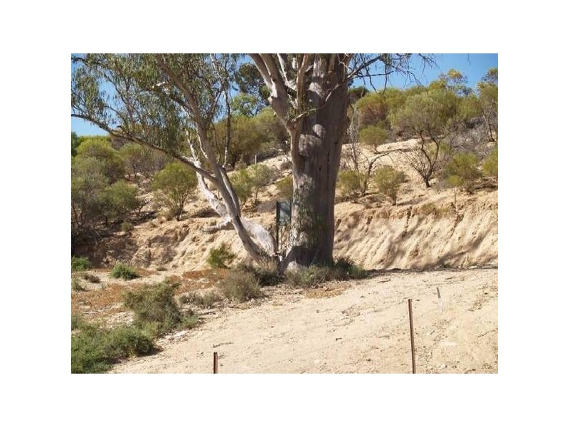 50 and 51 Idyll Acres, Morgan SA 5320