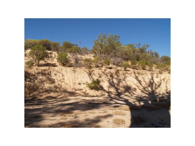 50 and 51 Idyll Acres, Morgan SA 5320