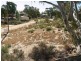 50 and 51 Idyll Acres, Morgan SA 5320