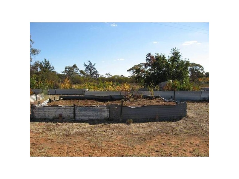 484 487 Thiele Road, Barmera SA 5345