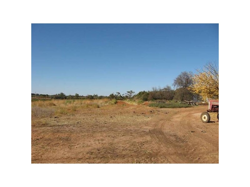 484 487 Thiele Road, Barmera SA 5345