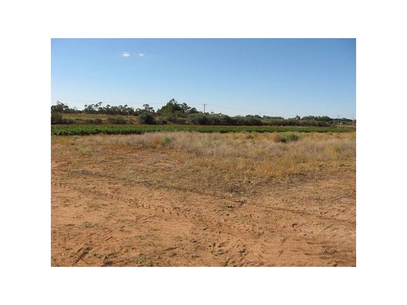 484 487 Thiele Road, Barmera SA 5345