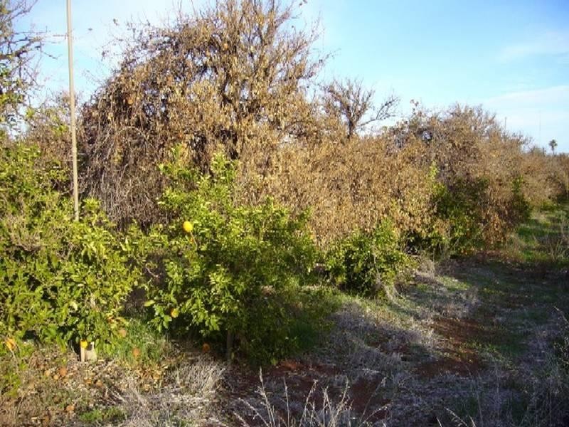 Lot 20 Playford Road, Sunlands SA 5322