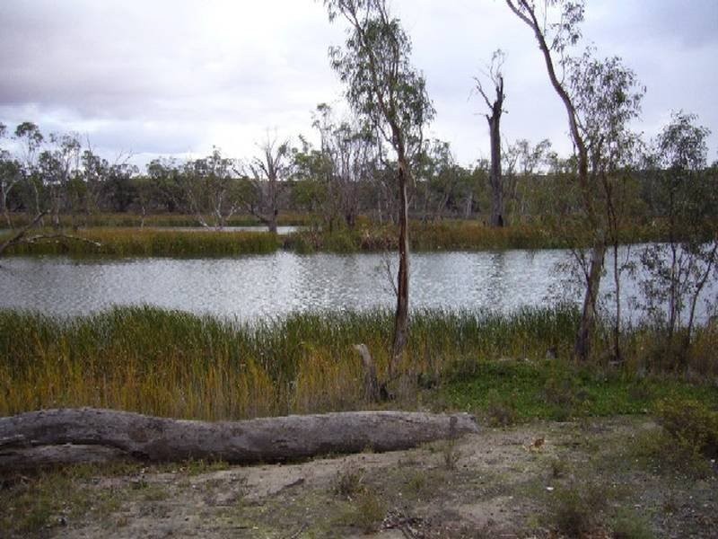 Lot 22 Carter Road Taylorville Via, Waikerie SA 5330