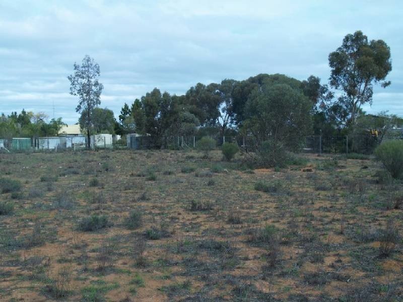 Lot 1 Checker Road, Waikerie SA 5330
