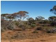 Sect 197 Hundred of Eba, Morgan SA 5320