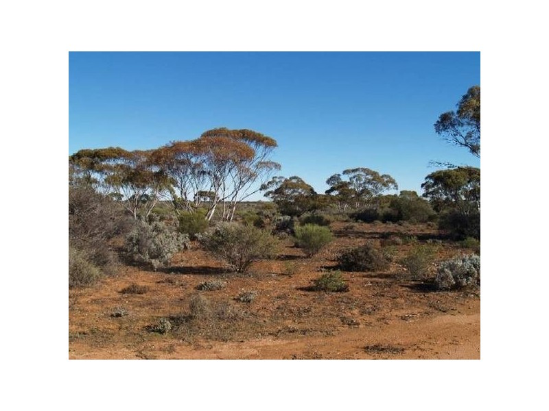 Sect 197 Hundred of Eba, Morgan SA 5320