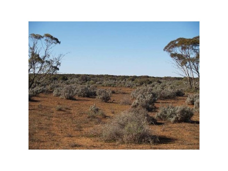 Sect 197 Hundred of Eba, Morgan SA 5320