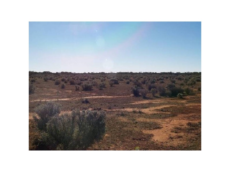 Sect 197 Hundred of Eba, Morgan SA 5320