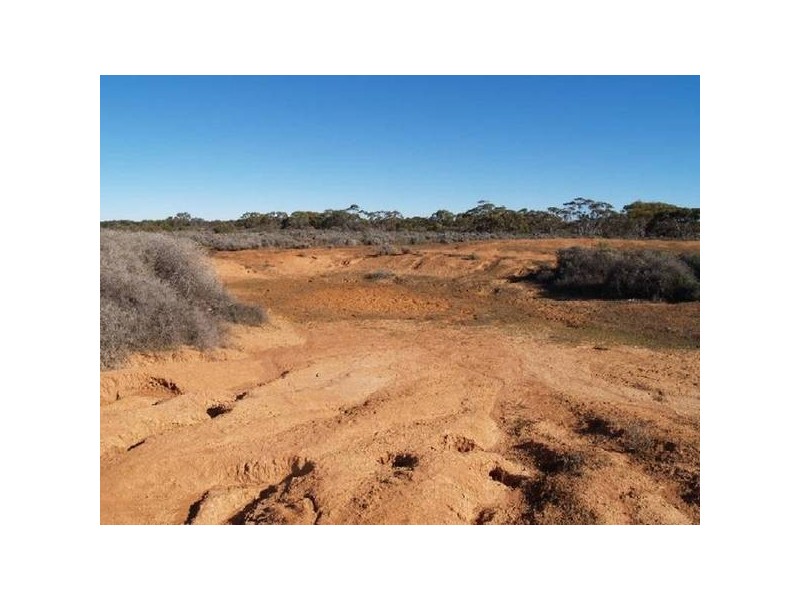 Sect 197 Hundred of Eba, Morgan SA 5320