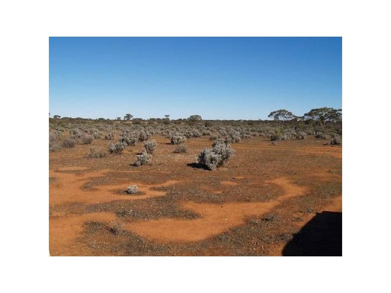 Sect 197 Hundred of Eba, Morgan SA 5320