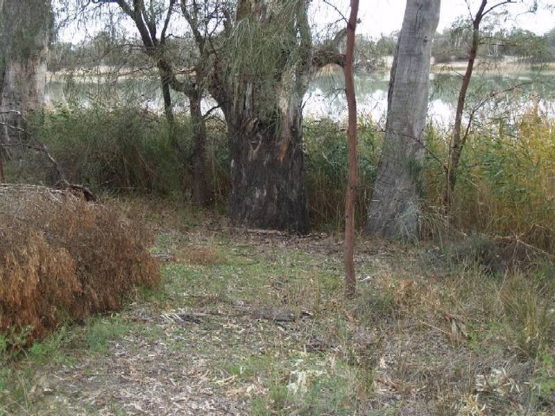 Lot 11 &12 Hundred of Stuart, Morgan SA 5320