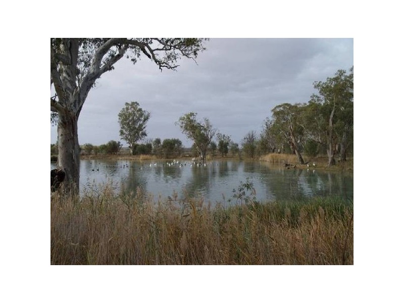 Lot 13 Hundred Of Stuart, Morgan SA 5320