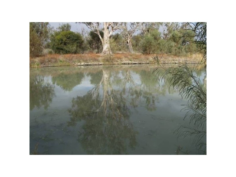 Lot 13 Hundred Of Stuart, Morgan SA 5320