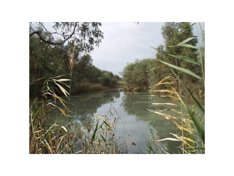 Lot 13 Hundred Of Stuart, Morgan SA 5320