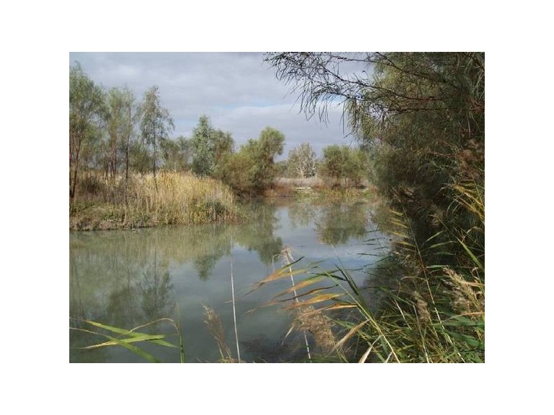 Lot 13 Hundred Of Stuart, Morgan SA 5320