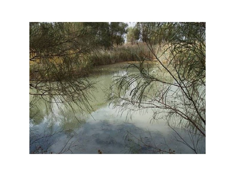 Lot 13 Hundred Of Stuart, Morgan SA 5320