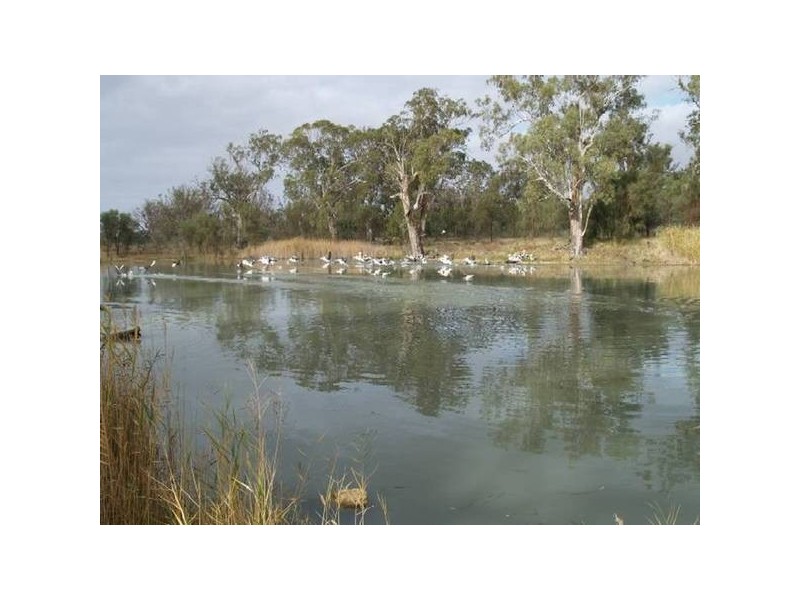 Lot 13 Hundred Of Stuart, Morgan SA 5320