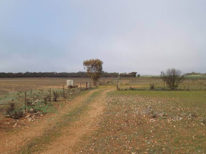 368 369 Cadell Irrigation Area, Cadell SA 5321