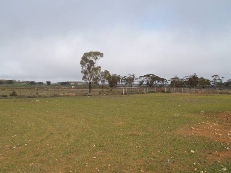 368 369 Cadell Irrigation Area, Cadell SA 5321