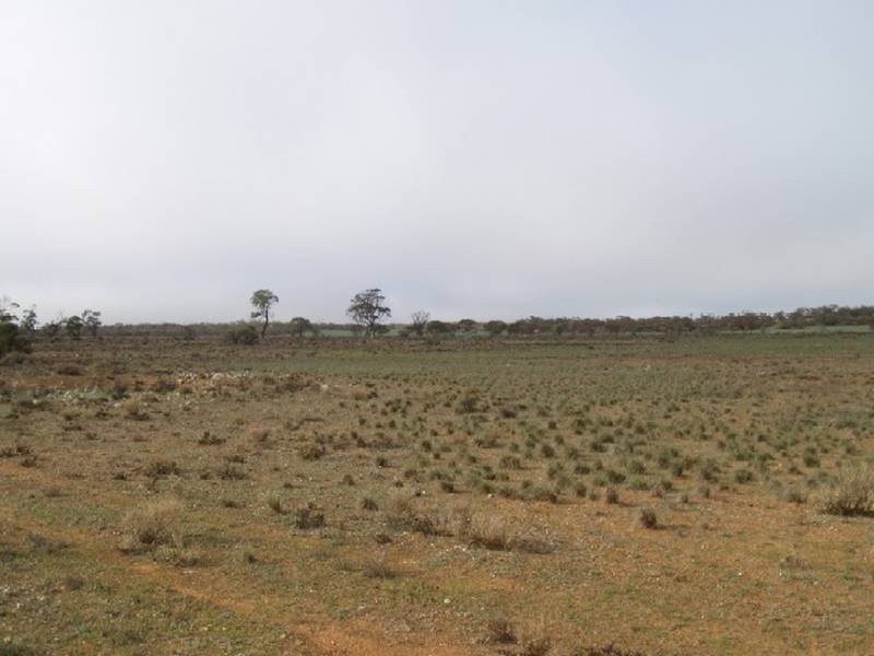 368 369 Cadell Irrigation Area, Cadell SA 5321