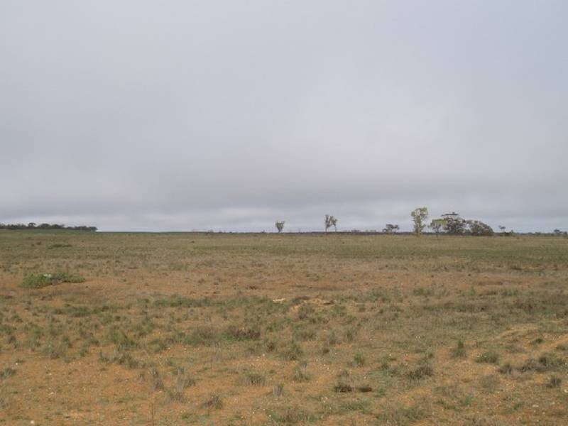 368 369 Cadell Irrigation Area, Cadell SA 5321