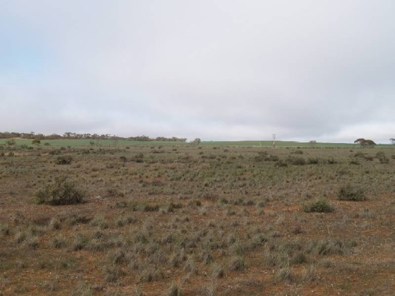 368 369 Cadell Irrigation Area, Cadell SA 5321