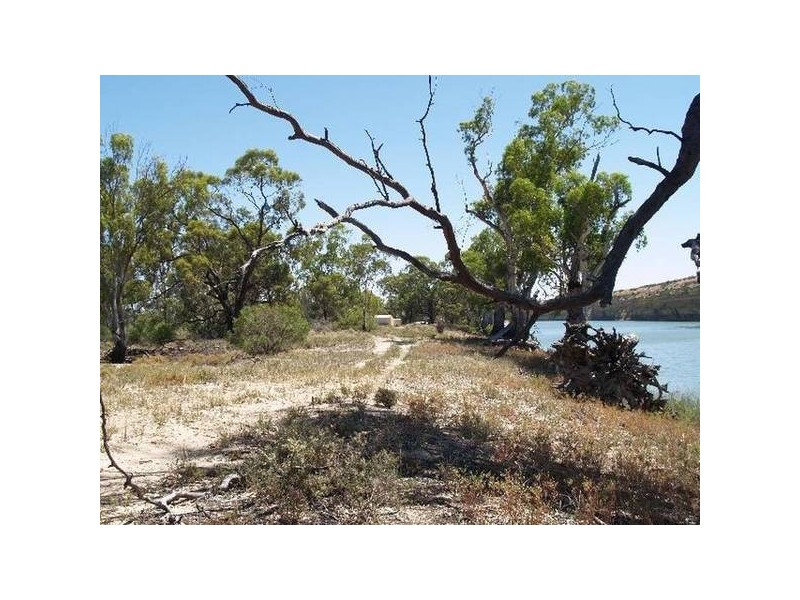 Lot 303 Hundred of Skurray, Blanchetown SA 5357