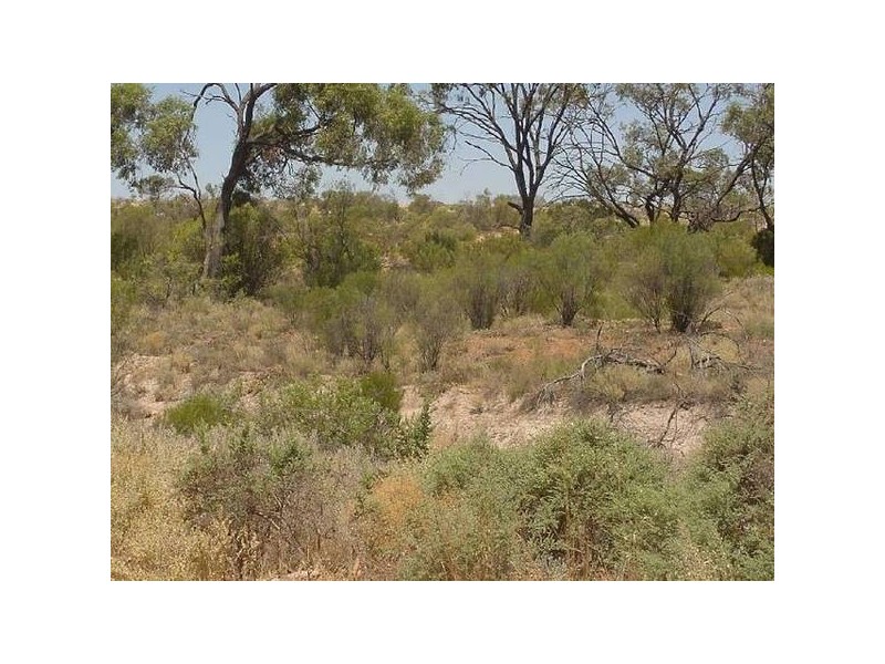 422 Hundred of Cadell, Cadell SA 5321