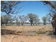 Lot 3 Hundred of Eba, Morgan SA 5320