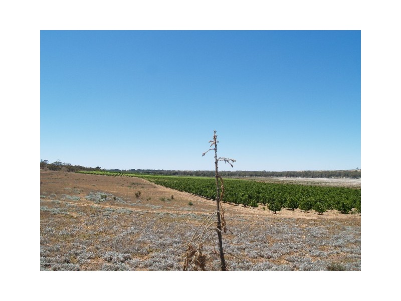 Lot 3 Hundred of Eba, Morgan SA 5320