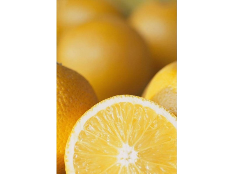 Lot 238 Medley Road Sunlands, Waikerie SA 5330