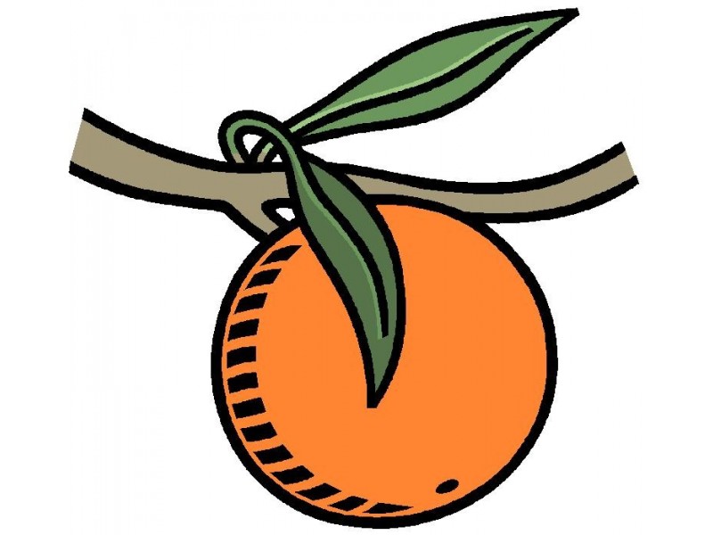 Lot 62 &63 Playford Road Sunlands, Waikerie SA 5330