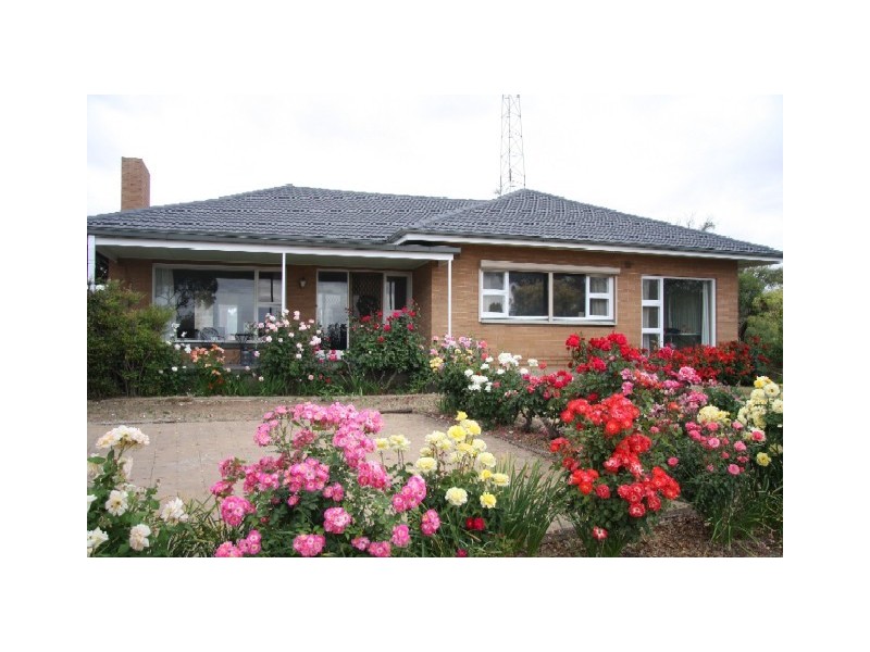 Sect 362 Sturt Highway, Waikerie SA 5330