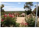 Sect 362 Sturt Highway, Waikerie SA 5330