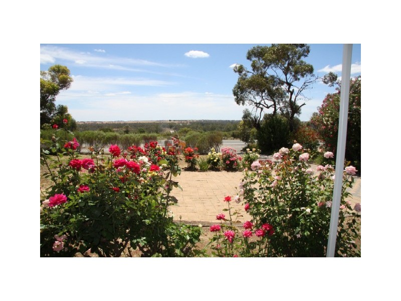 Sect 362 Sturt Highway, Waikerie SA 5330