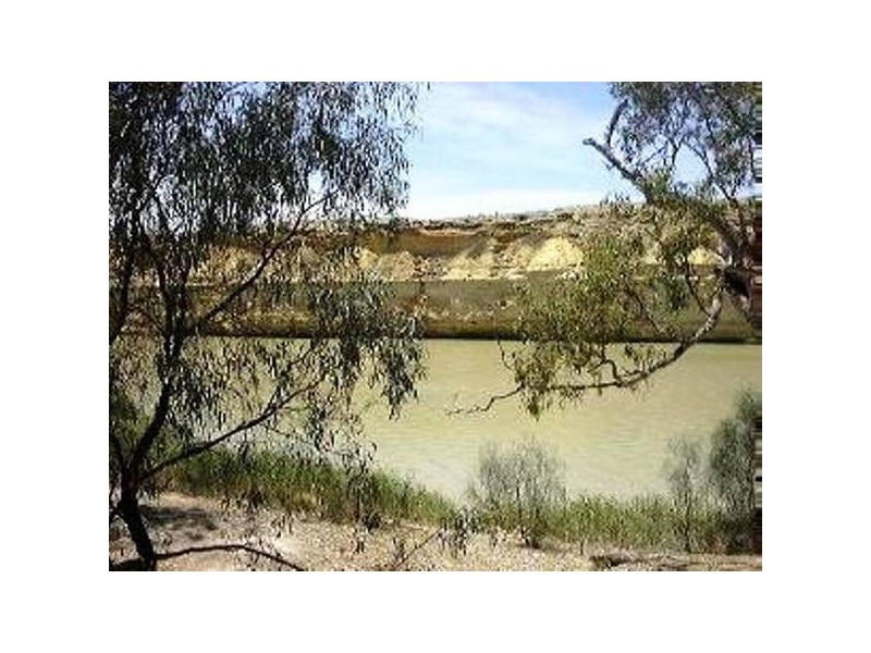 Lot 91 Brenda Park, Morgan SA 5320