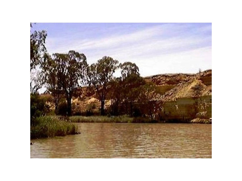 Lot 91 Brenda Park, Morgan SA 5320