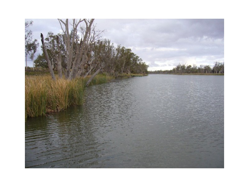 Lot 21 Carter Road, Taylorville via, Waikerie SA 5330