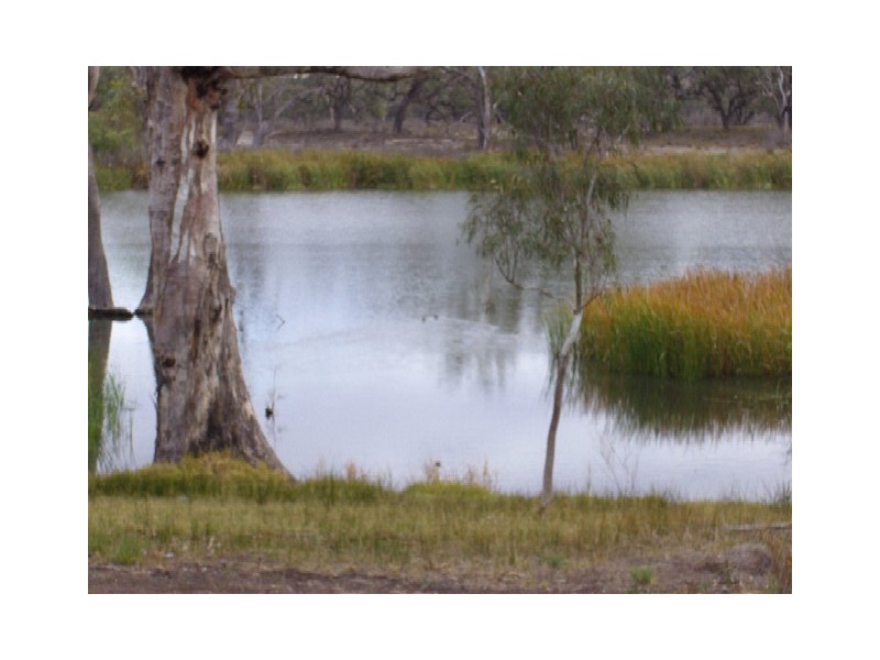 Lot 21 Carter Road, Taylorville via, Waikerie SA 5330