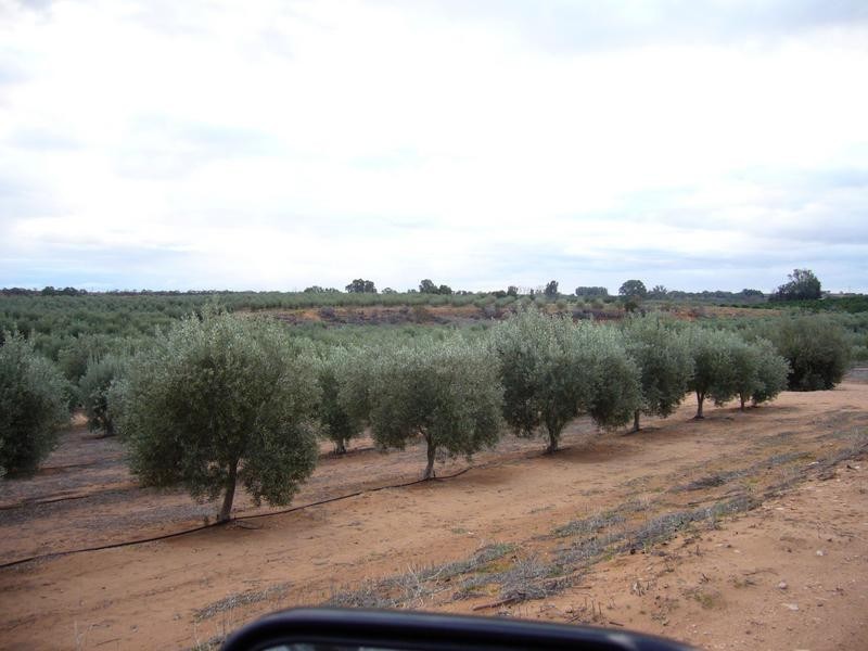 Lot 21 Carter Road, Taylorville via, Waikerie SA 5330