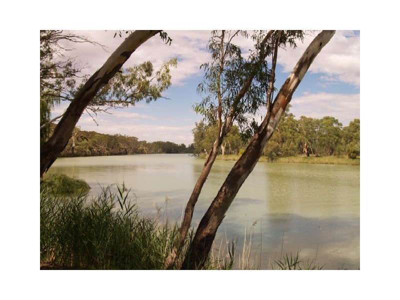 Sect 155 Hundred of Cadell, Morgan SA 5320