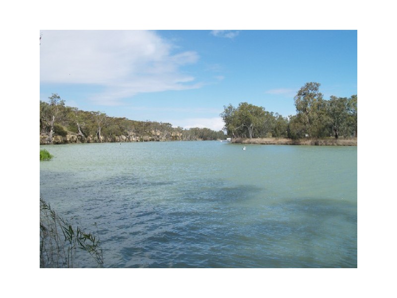 Sect 155 Hundred of Cadell, Morgan SA 5320