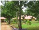 Tolga QLD 4882