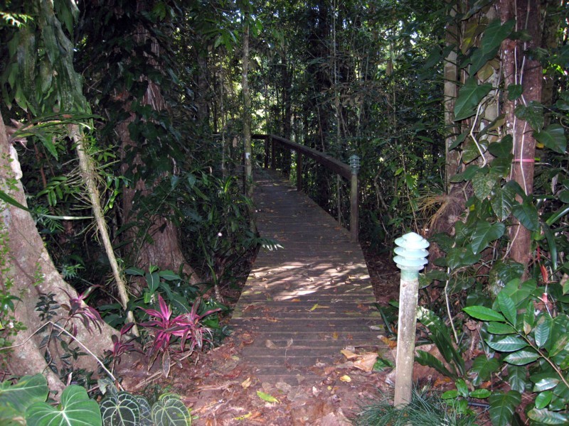 128 Quinlan Road, Yungaburra QLD 4884