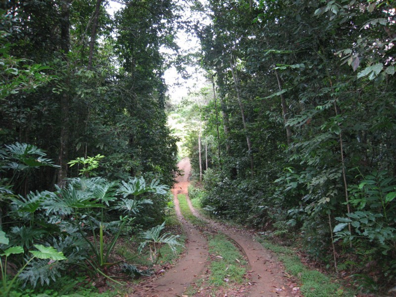 128 Quinlan Road, Yungaburra QLD 4884