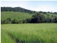 Malanda QLD 4885